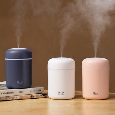 Customer Logo Mini Ultrasonic Atomizer USB Air Humidifier for Home Hotel Car School