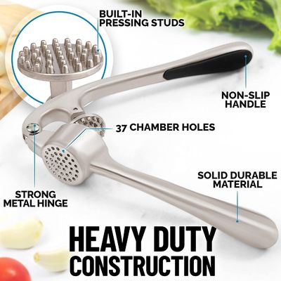 Accepatable OEM/ODM Stainless Steel Garlic Press Crusher Mincer Squeezer Chopper
