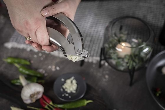 Reasonable Stainless Steel Garlic Crush Ginger Grater Kitchen gadgets Multi Kitchen Grater