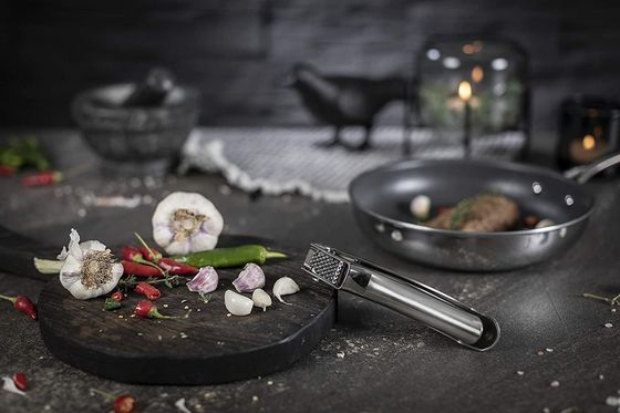Multi Kitchen Grater Hot Stainless Steel Garlic Press for Sustainable Kitchen Gadgets