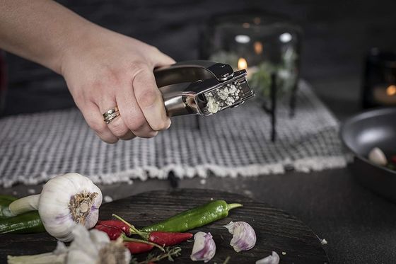Multi Kitchen Grater Hot Stainless Steel Garlic Press for Sustainable Kitchen Gadgets