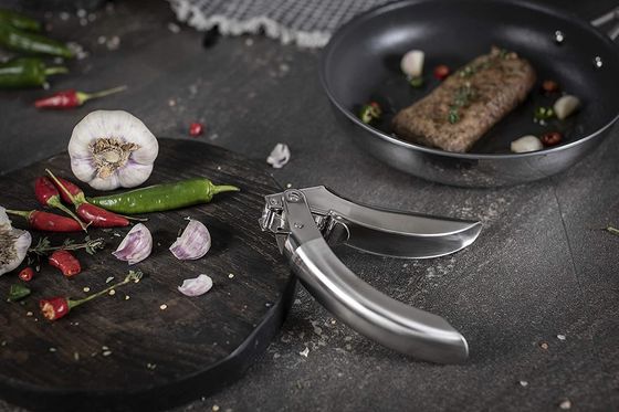 Multi Kitchen Grater Hot Stainless Steel Garlic Press for Sustainable Kitchen Gadgets