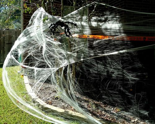 Customizable Stretchy Halloween Spider Web Terrifying Scene Props for Haunted House
