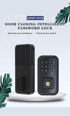 Secure Your Door with Battery-Powered Digital Smart Lock and TTlock Tuya WiFi App