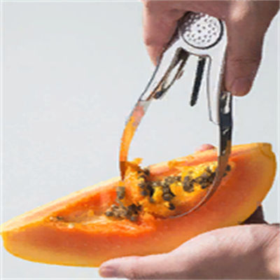 Stainless Steel Kitchen Tool for Sustainable Digging of Fruits and Removing Mango Seeds