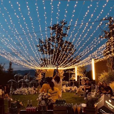 Outdoor Waterproof 300m Purple LED Fairy Lights String Garland for Christmas Holiday Decoration