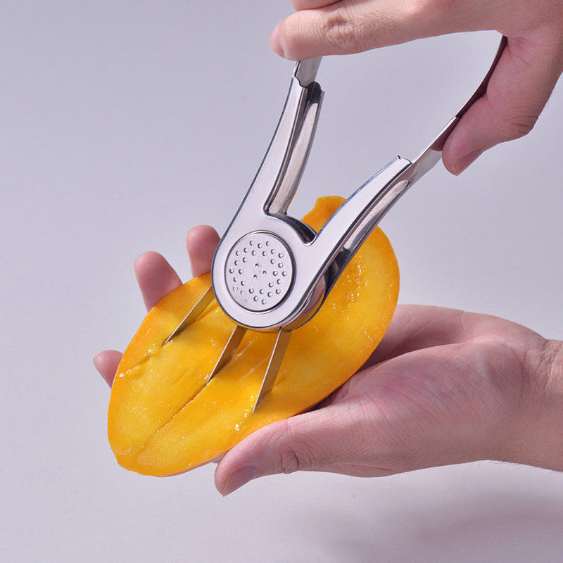 Stainless Steel Kitchen Tool for Sustainable Digging of Fruits and Removing Mango Seeds